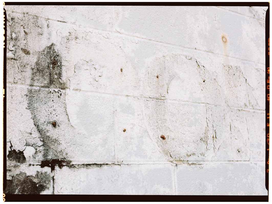 Flood Cleanup service in Kennewick, WA